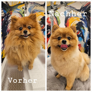 Hundesalon Picco Belli Hönnetalstraße 2, 58802 Balve, Deutschland