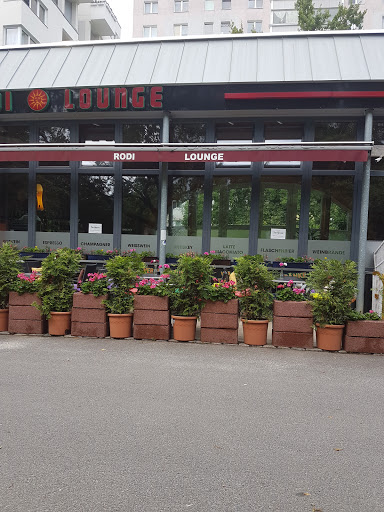 Rodi LOUNGE - Visual