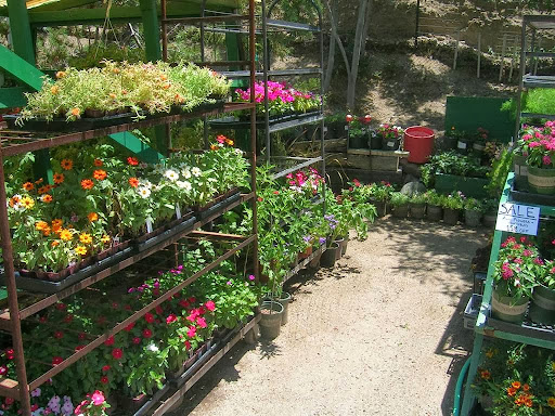 Golden Hills Nursery & Feed Center - United States