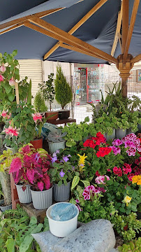 Horarios de Plaza de las Flores