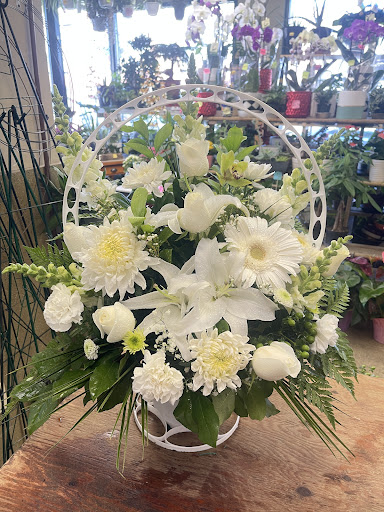 Dave's Flowers Gallery - Canada