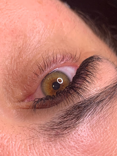 Haylinlashes - Visual
