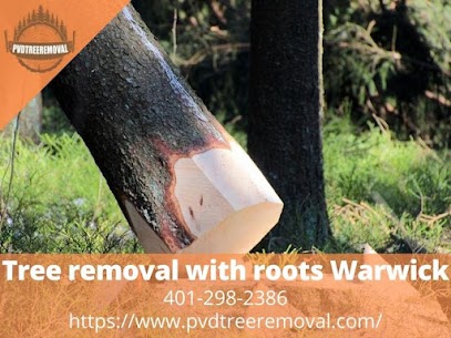 Tree removal with roots Warwick Rhode Island