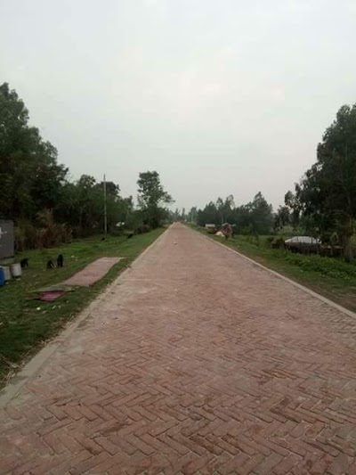 Photos of Aarong Dairy, Sariakandi Chilling Center