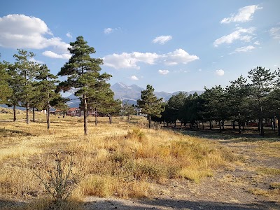 Photos of Bestepe Picnic Area