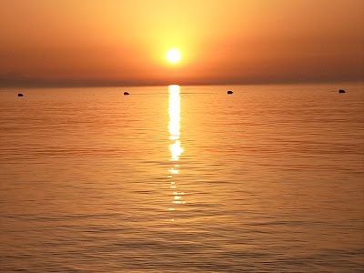 Photos of Plage Badis