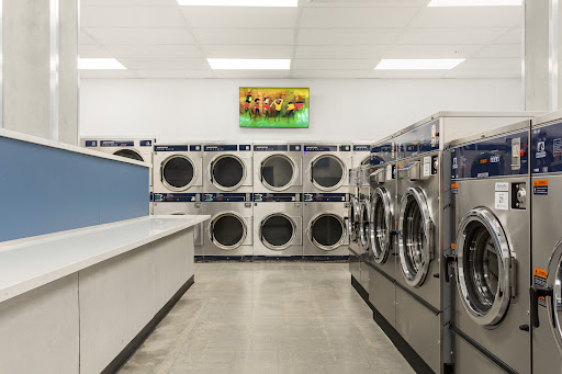 Light and Bright Laundry Co.