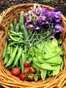 Horfield & District Allotments Association bristol