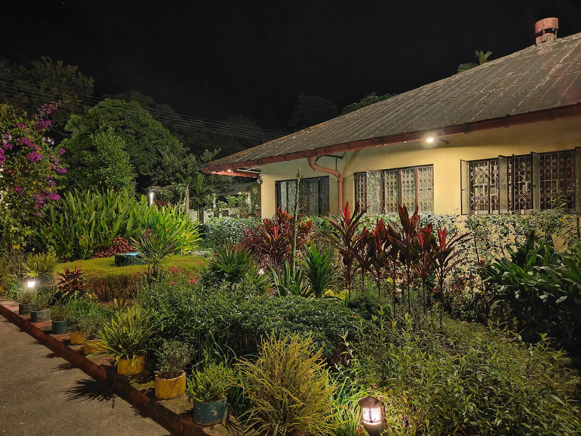 Sapoi Tea Farms, Estd 1914