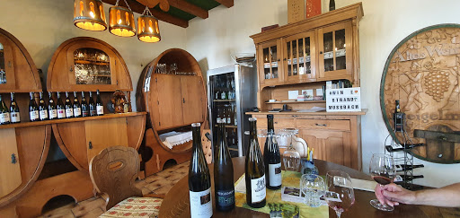 Altes Weingut Steigelmann GbR - Thumbnail