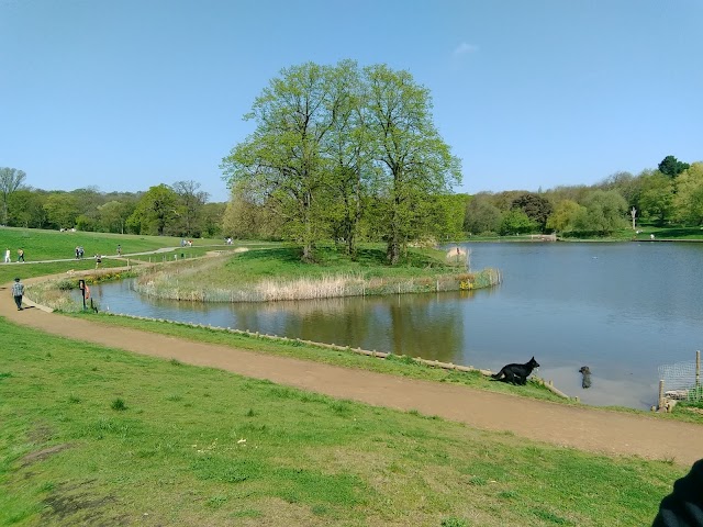 Hampstead Heath