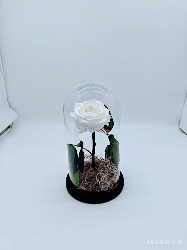 Comentarii opinii despre Ανθοπωλείο Δραγατάκη - Dragatakis Flowers