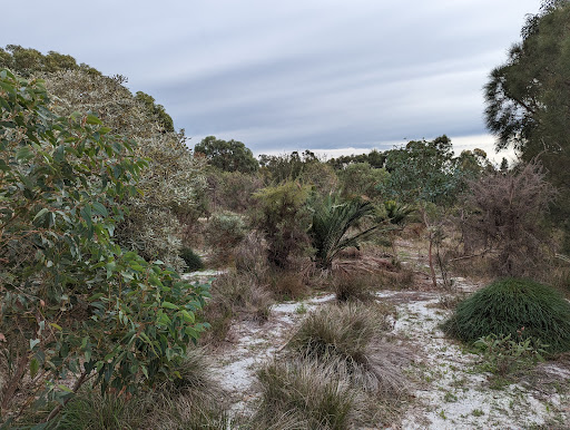 Gabbiljee Reserve - Thumbnail