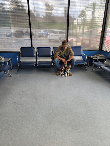 Paws N Claws Veterinary Hospital - Thumbnail