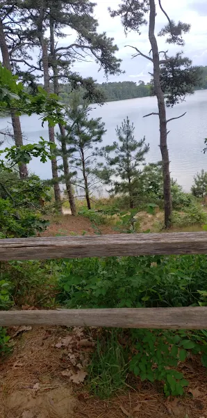 Nickerson State Park - Area 5 photo