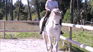 Photo n°7 de Centre Equestre d'Escource à Escource (Centre équestre)