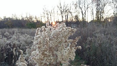 Photos of Olivedale Park