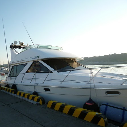 ライフサポートするが