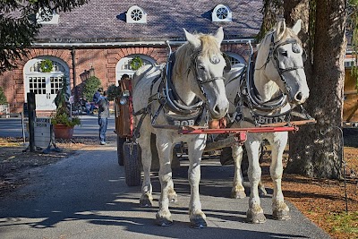 Liberty Farm & Carriage Company