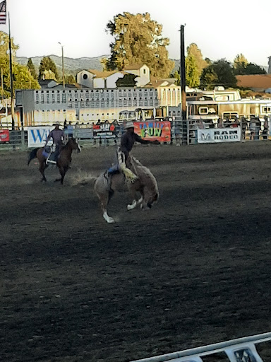 Thunder Mountain Pro Rodeo - Thumbnail