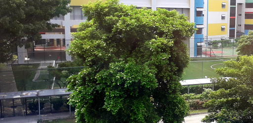 Kranji Primary School Gallery - Singapore