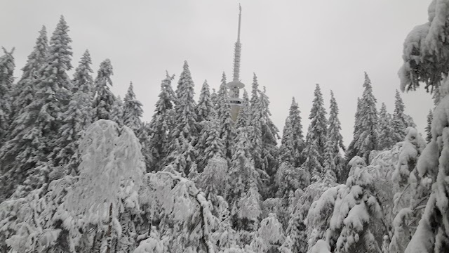 Oslo Vinterpark