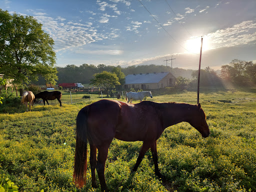 Riding Center - Thumbnail