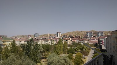 Uzmanlar Sitesi