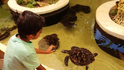 Photos of Kula WILD Adventure Park