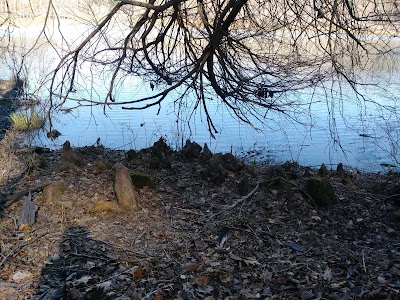 Brushy Lake Dam