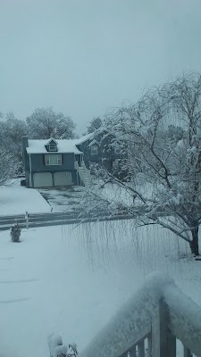 Kingston - Image 3