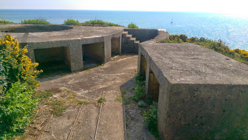 Brownstone Battery Logo