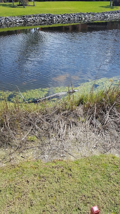 Photos of Hammock Bay Golf & Country Club