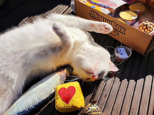 WoefBox & MiauwBox - Thumbnail