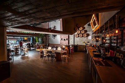 Photos of fossil Karakoy