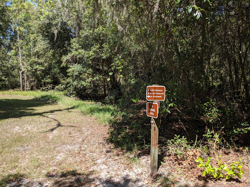 Lakeland Highlands Scrub - Thumbnail