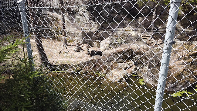 http://www.zoo-alpin.ch/