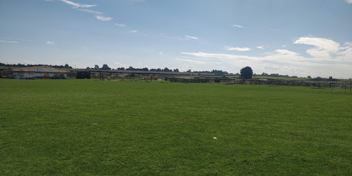 Kieradan Park Gallery - United Kingdom