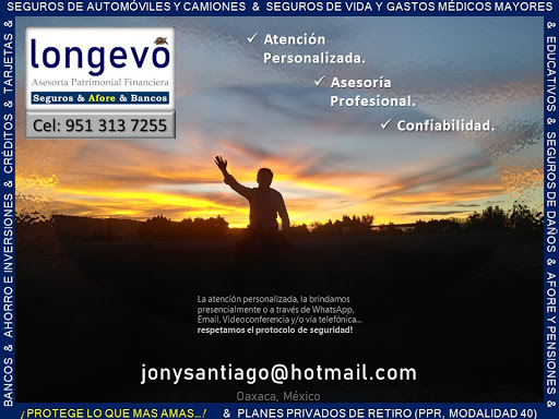 Longevo.apf - Visual