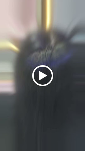 Highlights & Lowlights post image