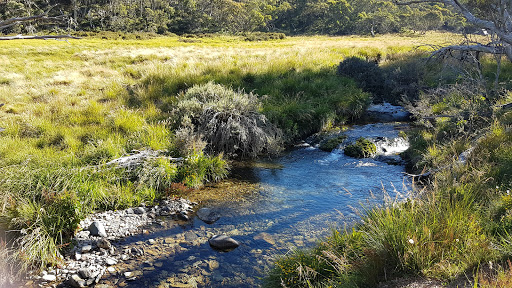 Dibbins Hut & Camping Area Gallery - Australia