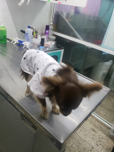 Veterinaria Oliva - Thumbnail