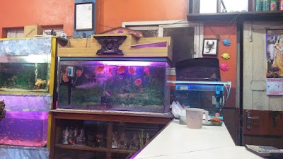 Photos of SHRESTHA AQUARIUM-2