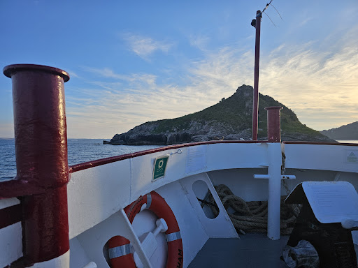 WeFerry - Torbay & Teignmouth - Thumbnail