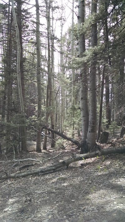 Willow Creek Trailhead