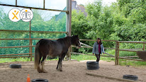 Equicoaching Quimper - Elodie Serpe & Leadership Expérience à Landudal