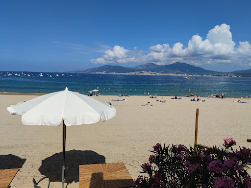 Le délice Club Gallery - France