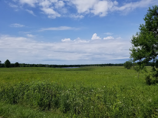 Barrington Road Pond - Thumbnail