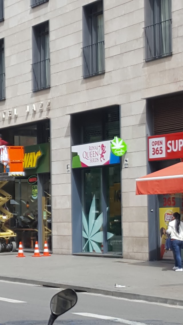 Royal Queen Seeds Store
