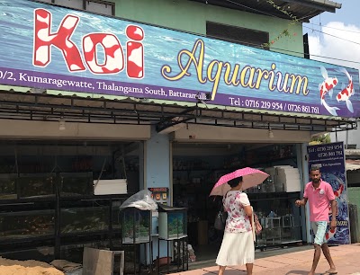 pet-store